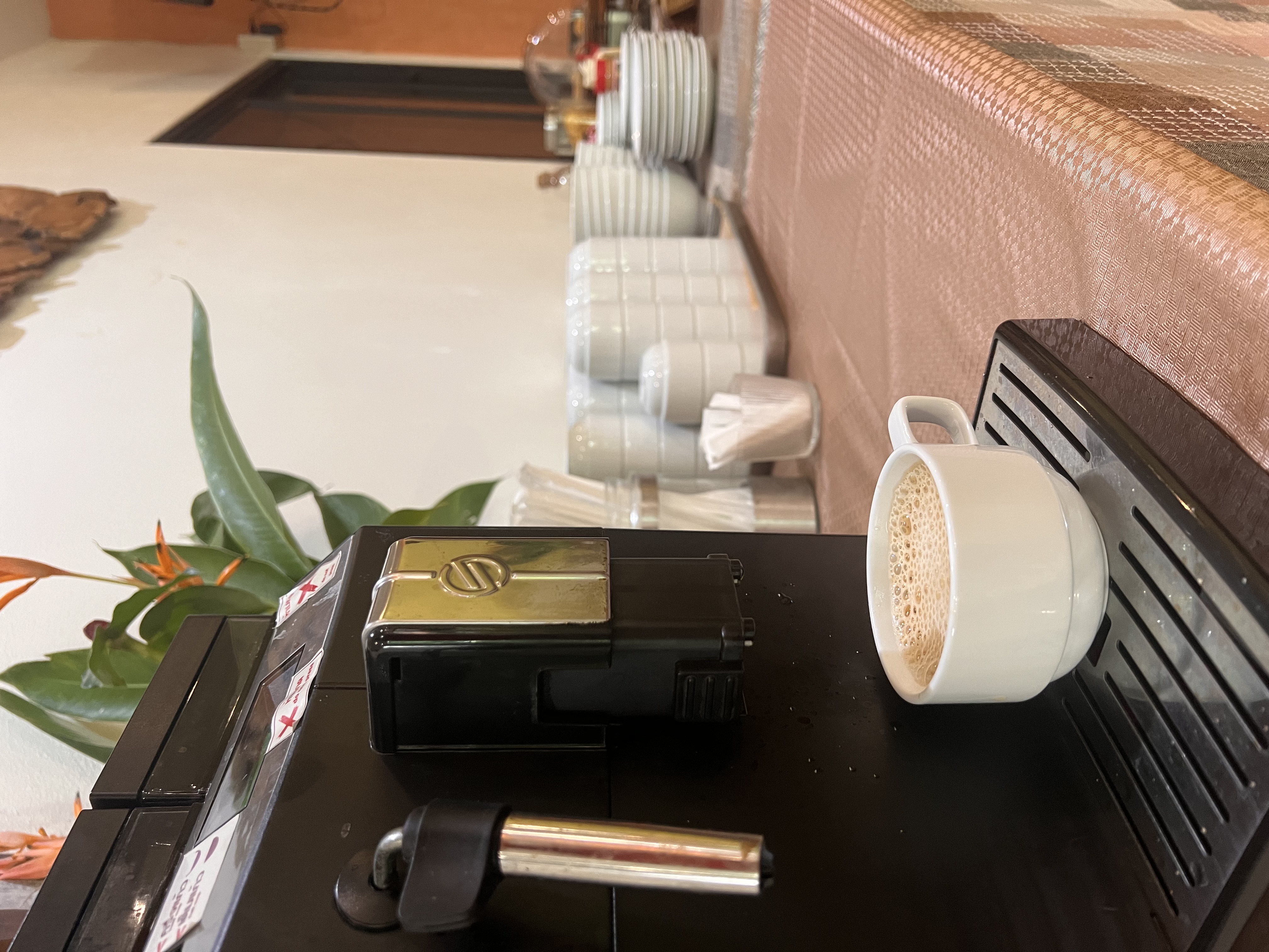 Breakfast at Wilacha