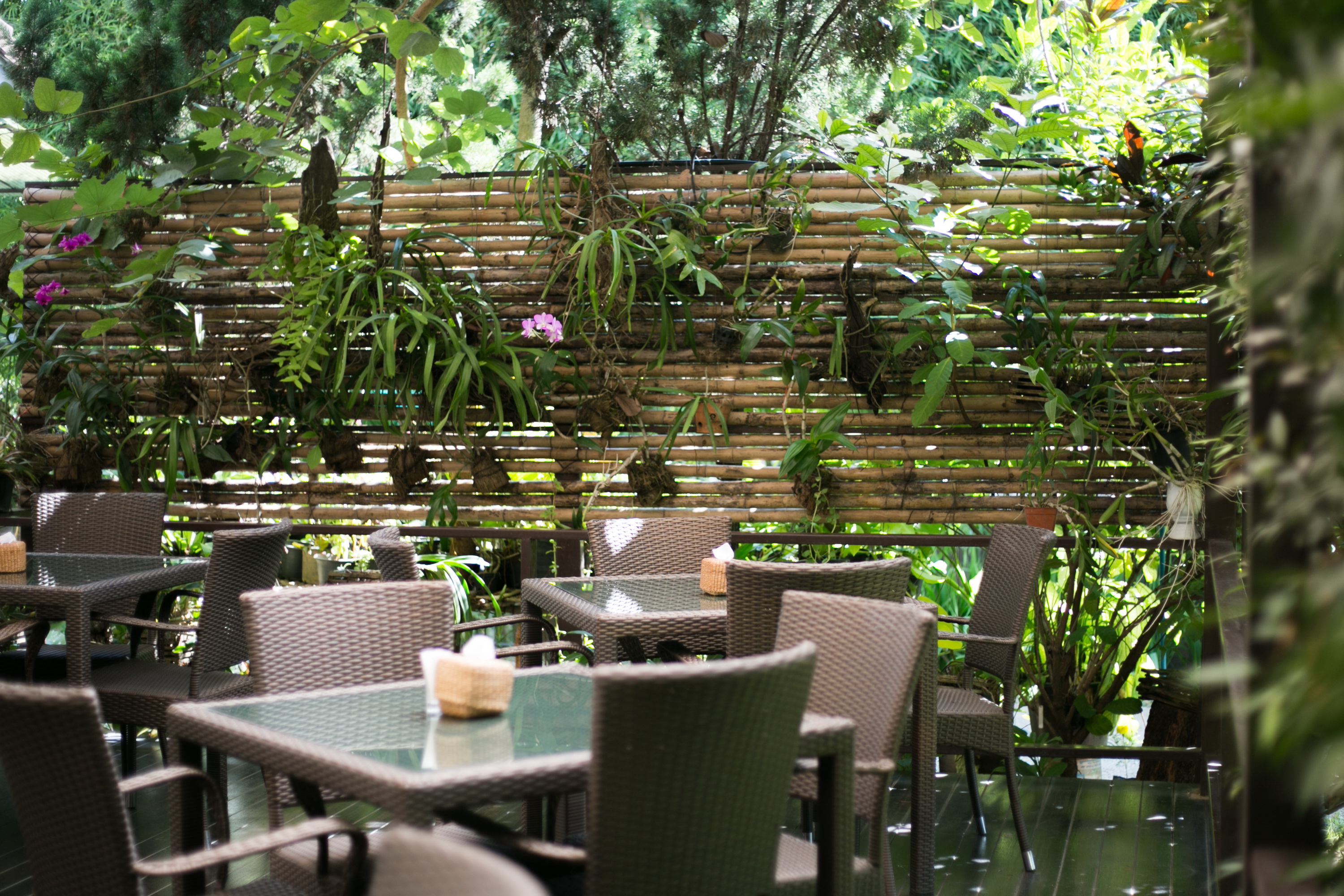 Outdoor dining terrace