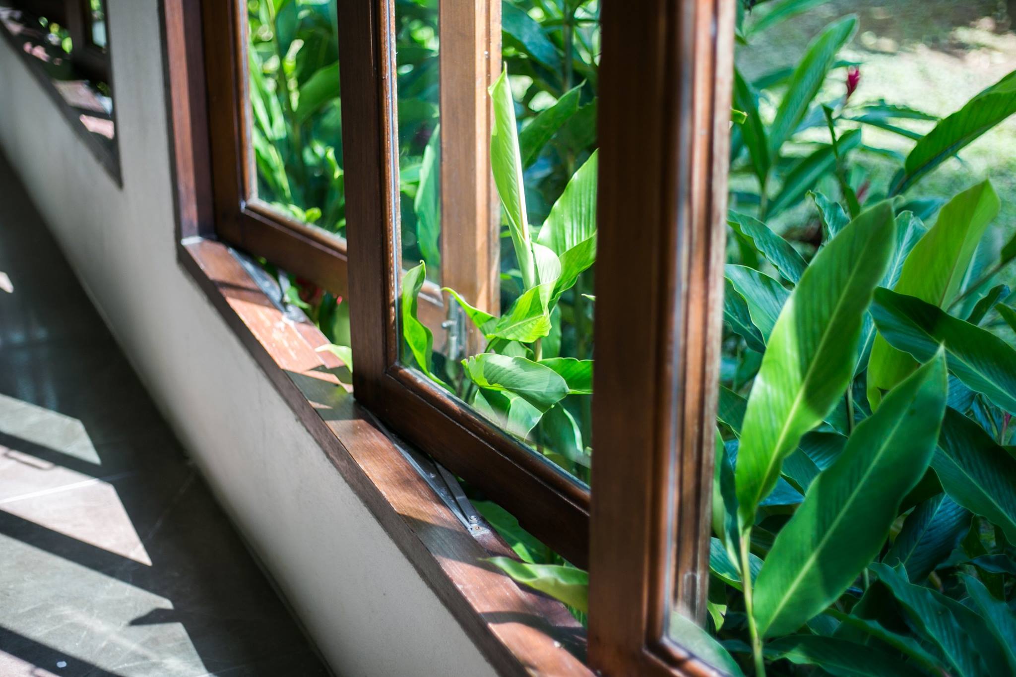 Wilacha windows