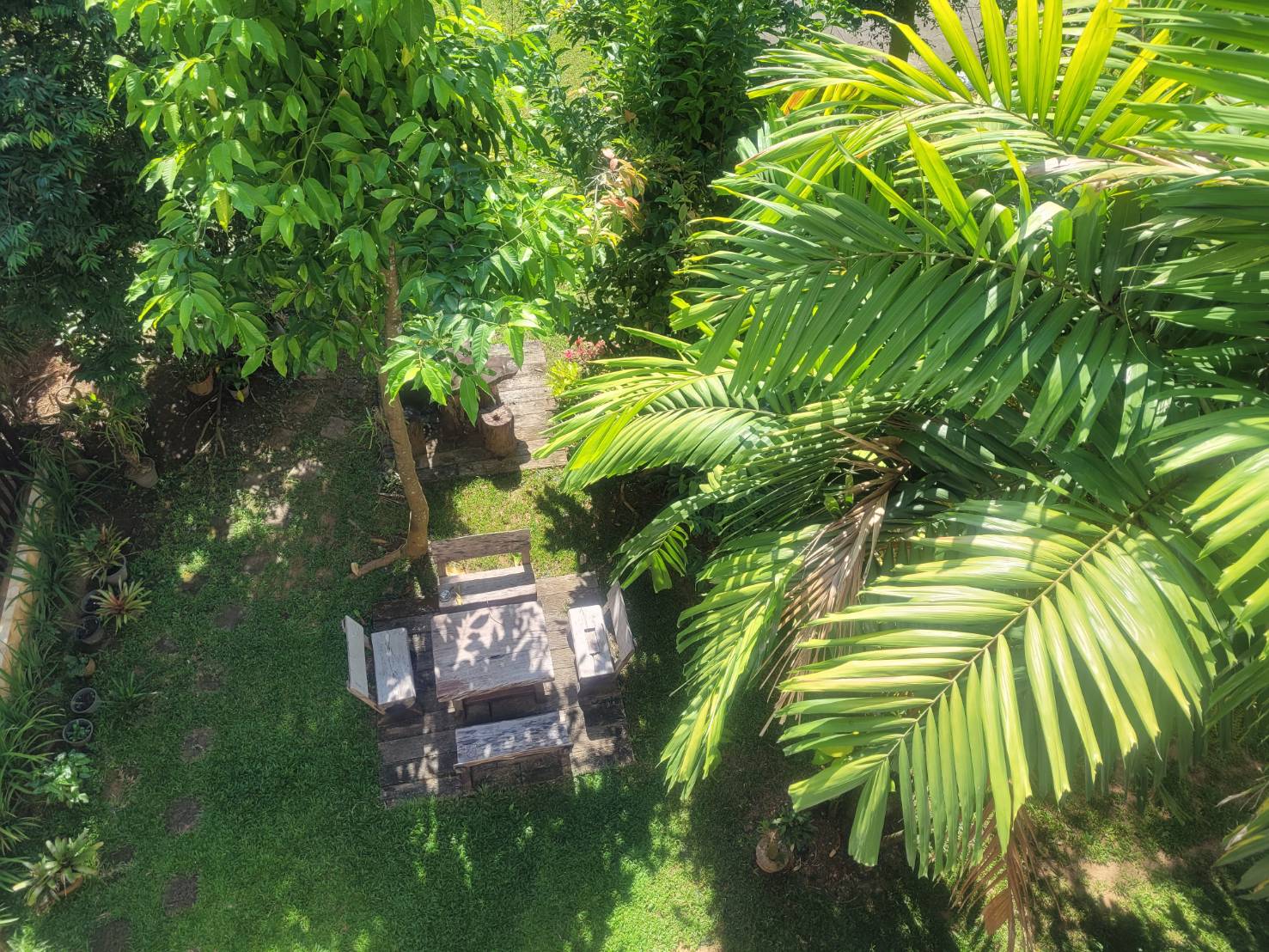 The garden