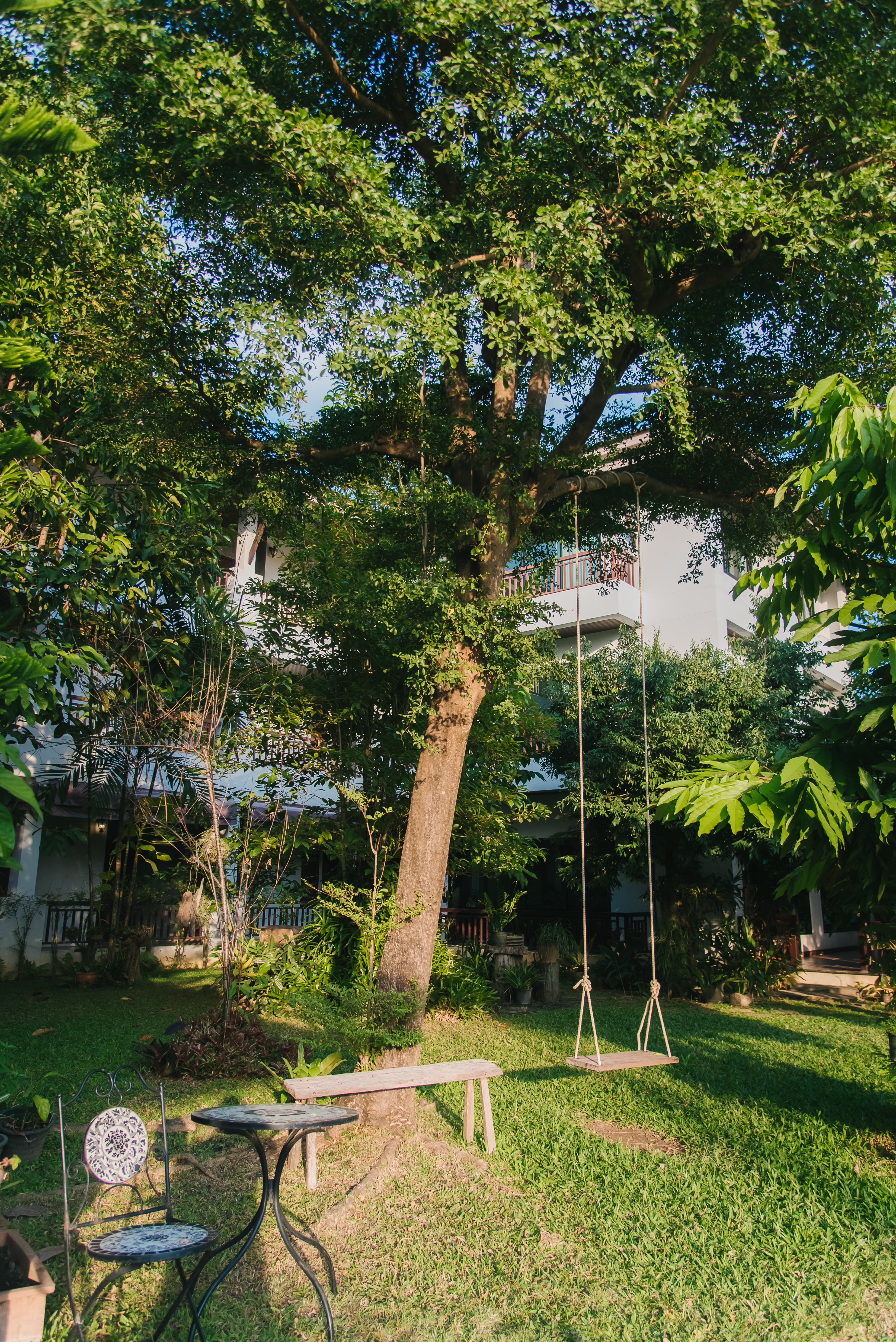 The garden swing